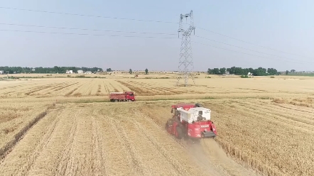 中聯收獲新疆AT100作業實景