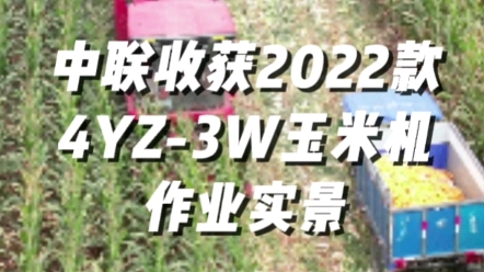 中聯收獲2022款4YZ-3W玉米收獲機作業實景