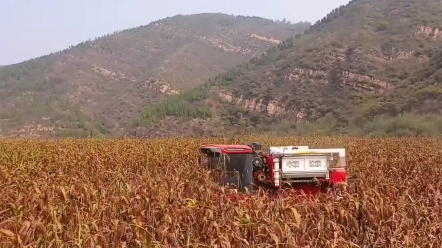 中聯(lián)收獲堅持農(nóng)機農(nóng)藝相結(jié)合，不斷推進農(nóng)業(yè)機械現(xiàn)代化