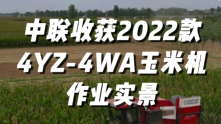 中聯收獲2022款4YZ-4WA玉米收獲機作業實景